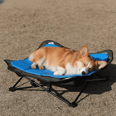 toutou dort sur tapis rafraichissant sur lit de camp pour chien 