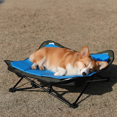toutou dort sur tapis rafraichissant sur lit de camp pour chien 