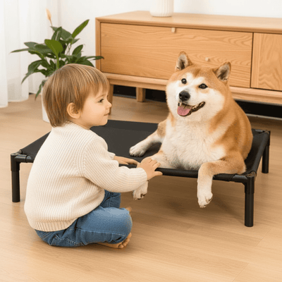 enfant devant son toutou dans lit de camp pour chien 