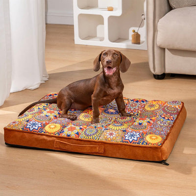 toutou dans lit pour chien 