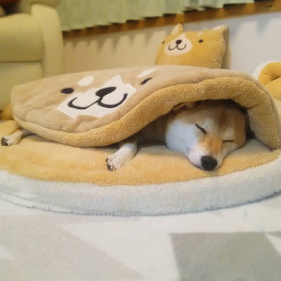 toutou dans couchages pour chiens 
