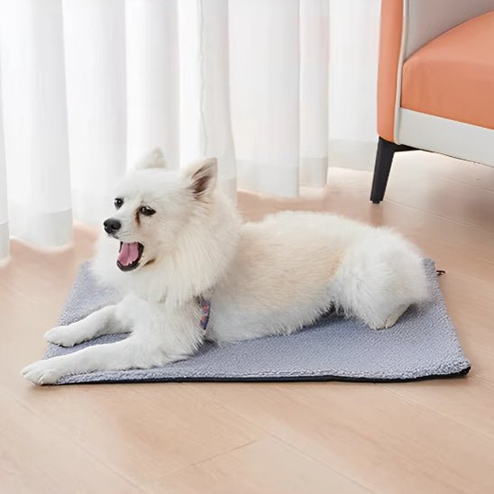 Chien allonge sur tapis pour chien gris 