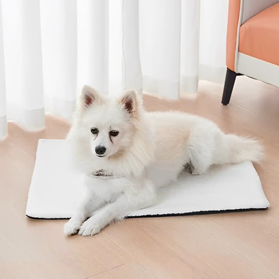 Chien allonge sur tapis pour chien regard attentif
