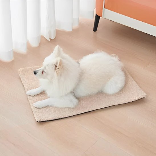 Chien sur tapis pour chien detendue