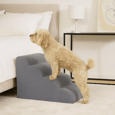Escalier mousse pour chien antidérapant 