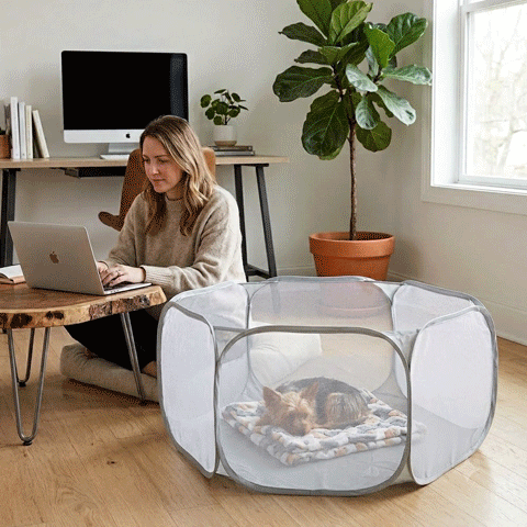 Parc-interieur-pour-Chien pour convalescence 