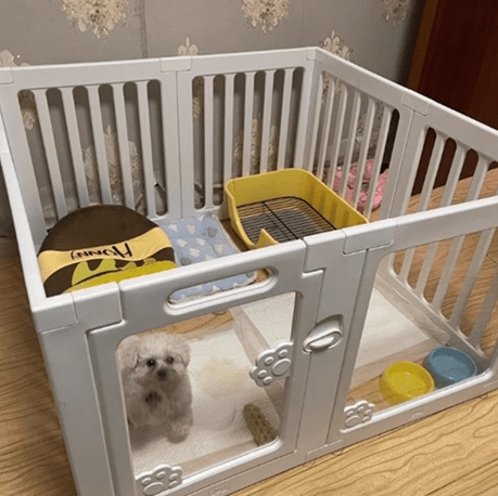 aménagement de parc pour chien