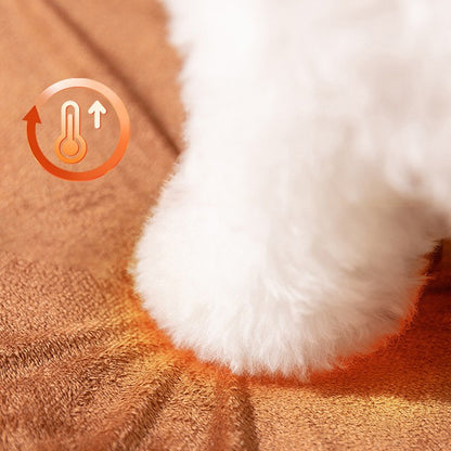 appui de patte su petit niche