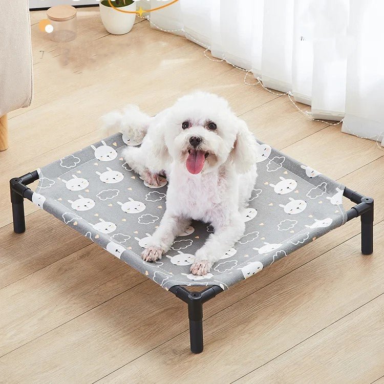 beau chien dans lit sureleve chien 