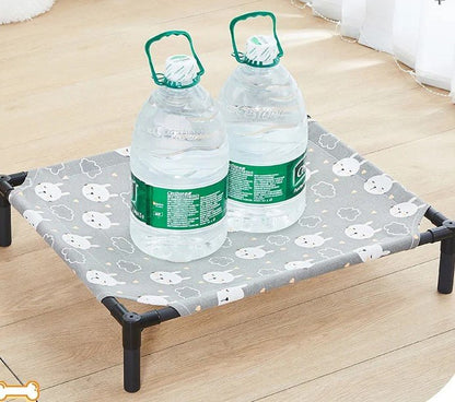 bouteille d eau sur lit surleve chien