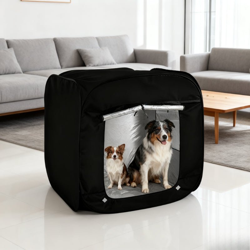 cabane intérieur pour chien avec isolation