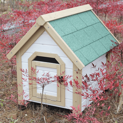 cabane pour chien en bois solide toi anti fuite