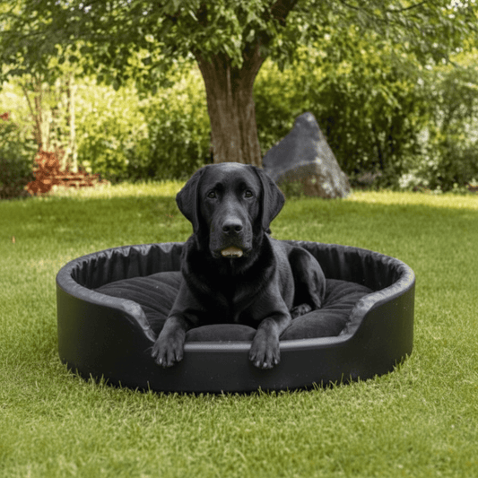 canapé orthopédique chien simili cuir luxueux 