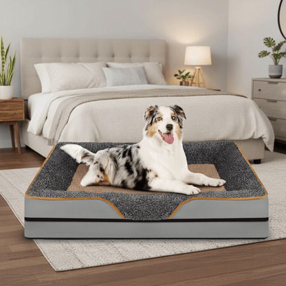 canapé orthopédique pour grand chien lavable en machine