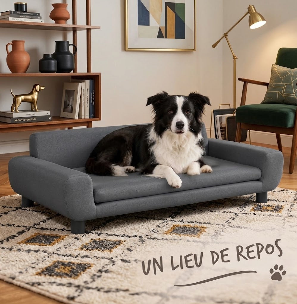 canape chien xxl conception ergonomique son lieu de repos 