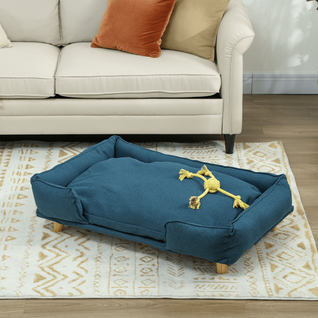 canape littérale chien dans salon sur tapis 