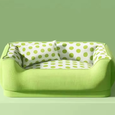 canape  petit chien vert 