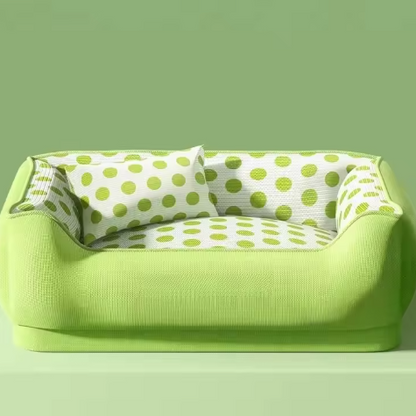 canape  petit chien vert 