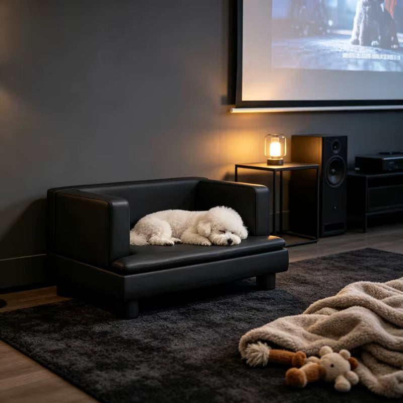 canape pour petit chien élégant dans salon 