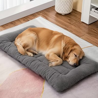 chien allonger sur tapis pour chien en peluche gris 