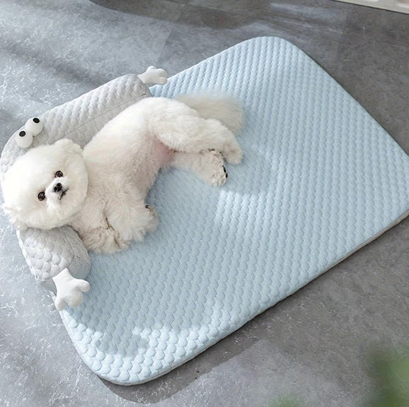 chien adosse dans coussin chien bleu