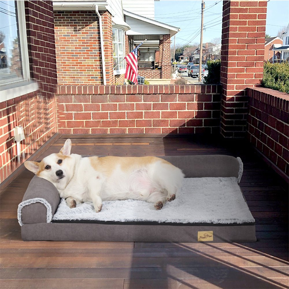 chien adouci  dans canape pour chien XL sur terrasse