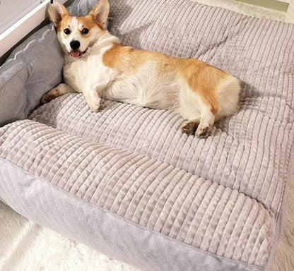 chien allonger dans canape pour
chien confortable