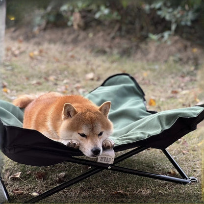 chien allonger dans lit de camp chien jardin