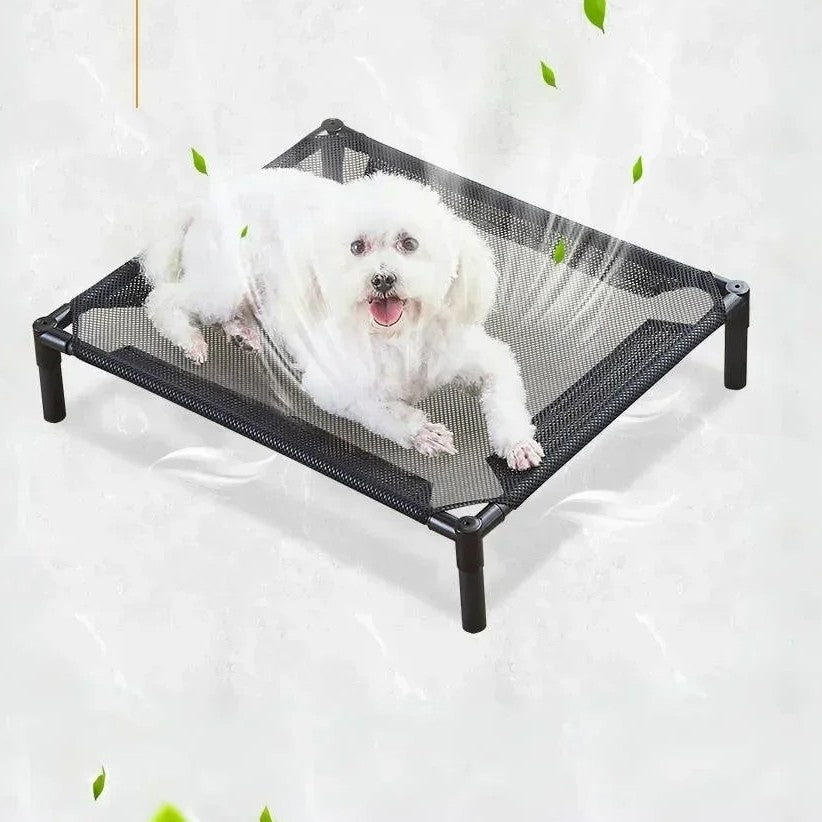 chien allonger dans lit de camp pour chien