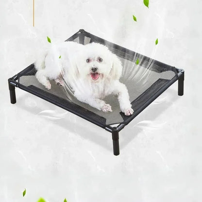 chien allonger dans lit de camp pour chien