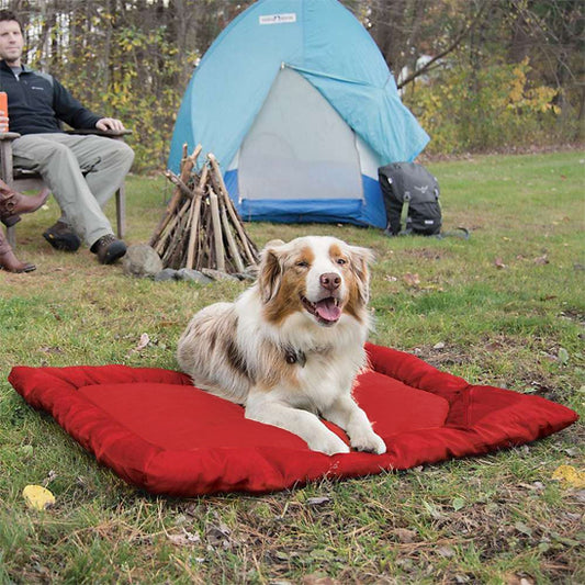 chien allonger dans lit de camp pour chiens rouge 