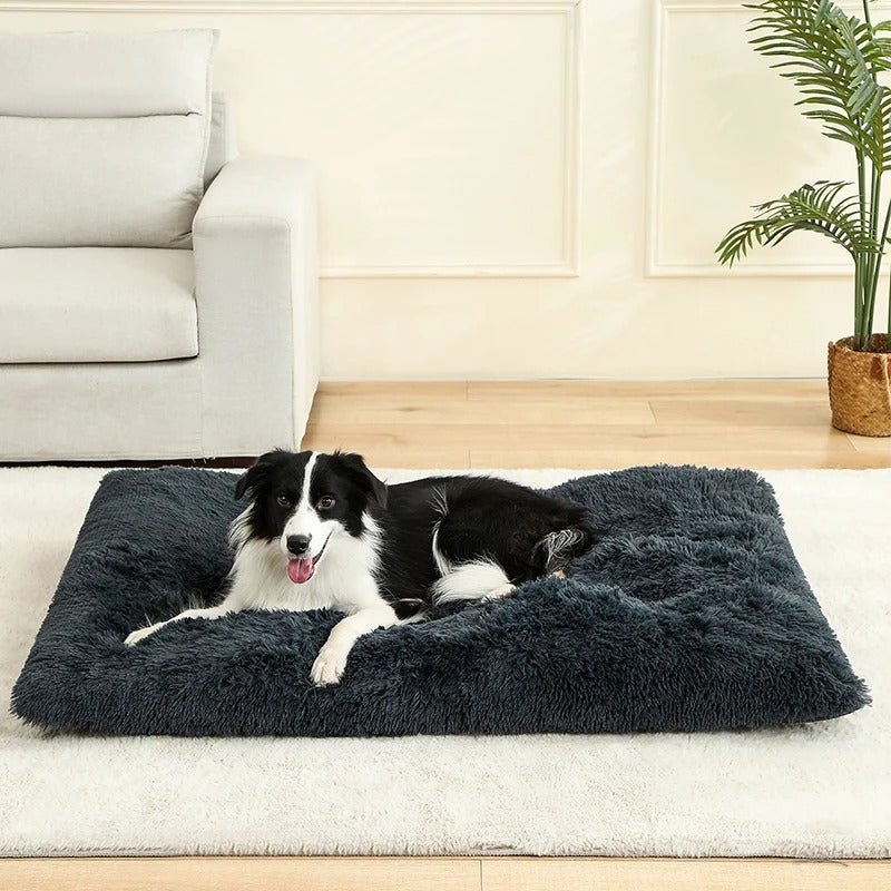 chien allonger dans lit pour chien antistress bleu