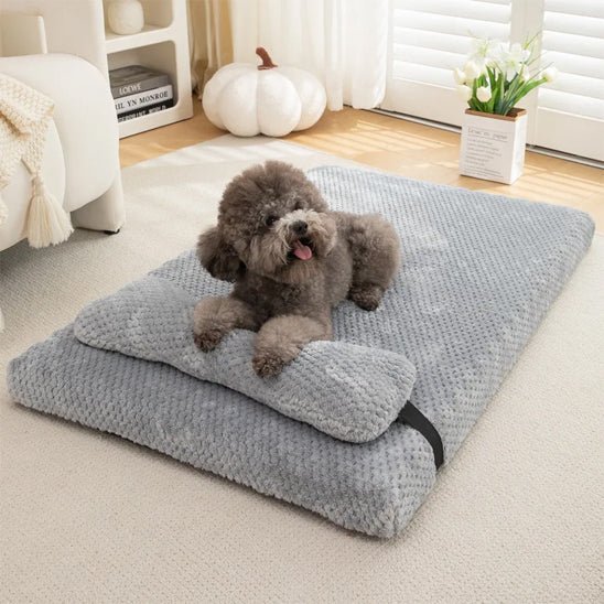 chien allonger dans lit pour chien confort et apaisant gris