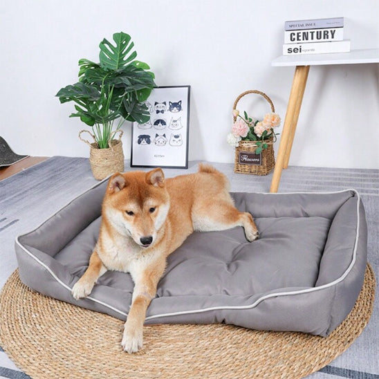 chien allonger dans panier pour chien orthopédique Deluxe