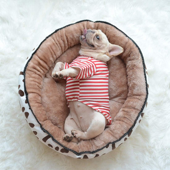 chien allonger dans panier pour chien relaxant marron