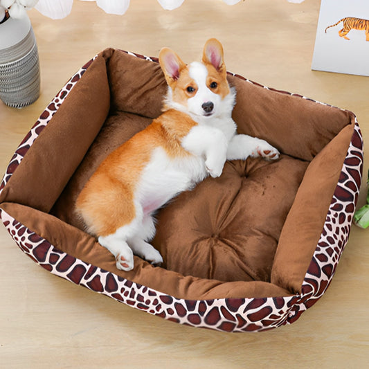 chien allonger dans panier pour chien zèbre