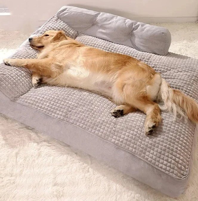 chien allonger dans son canape pour chien