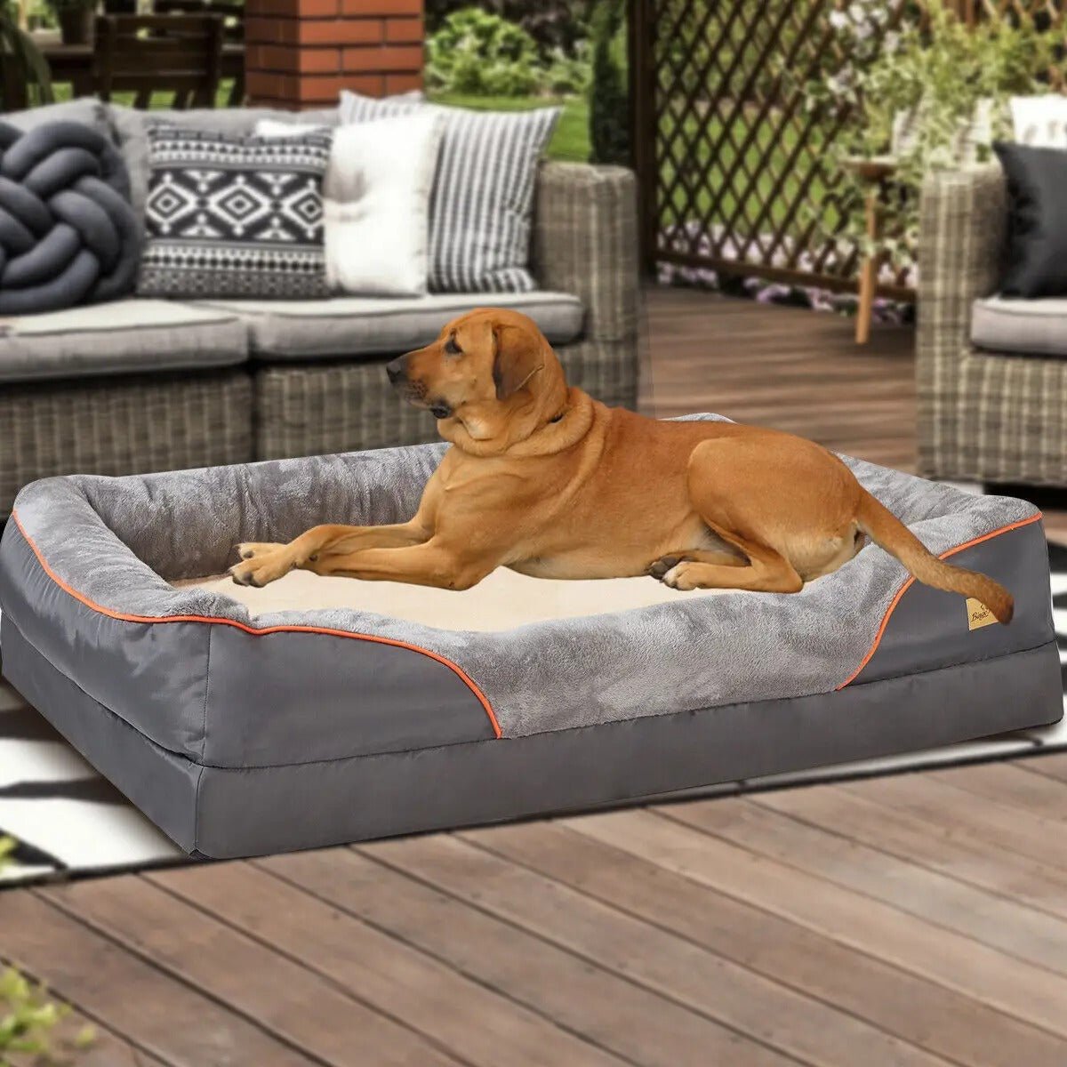 chien allonger dans son lit pour chien orthopédique, sur terrasse