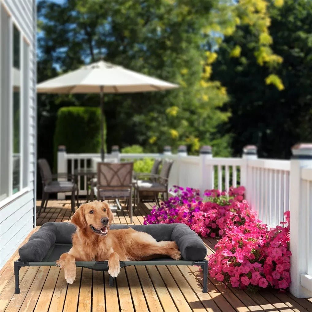 chien allonger lit de camp pour chien dans terrasse