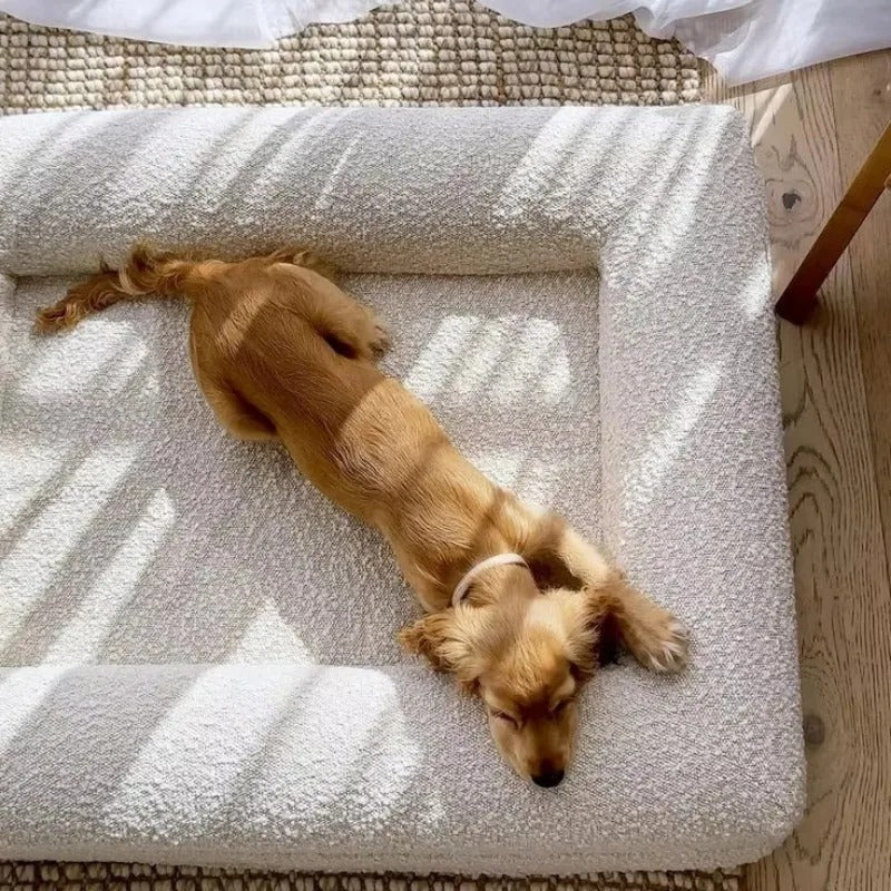 chien allonger panier chien de luxe en memoire  de forme