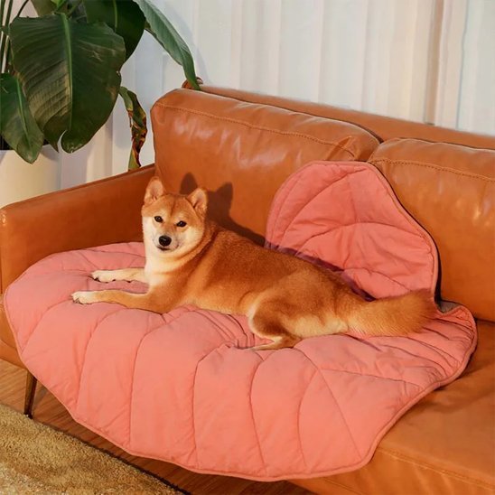 chien allonger sur tapis pour chien 