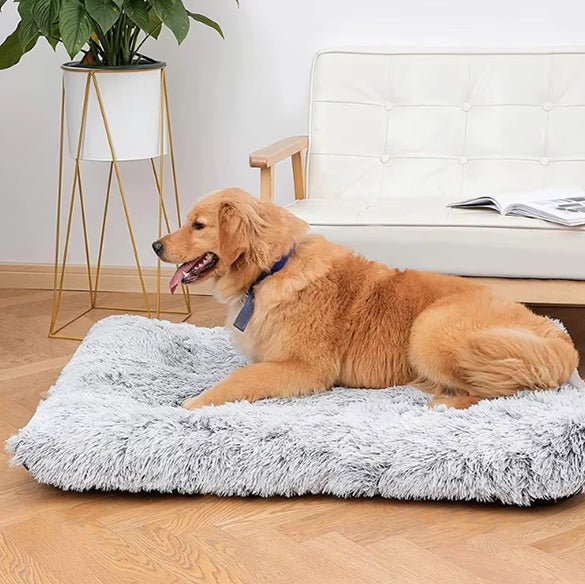 chien allonger sur tapis pour chien gris