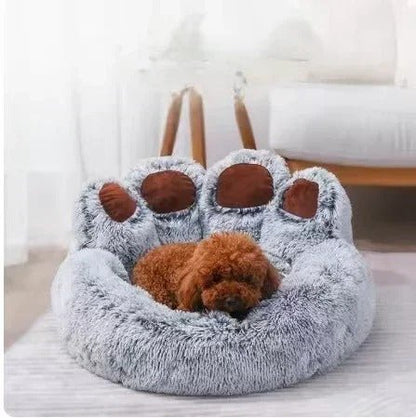 chien apaise dans lit pour chien forme patte chien