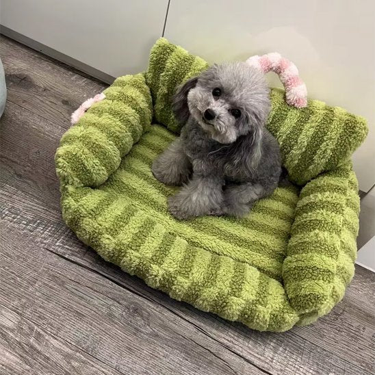 chien assis dans canapé pour chien vert 