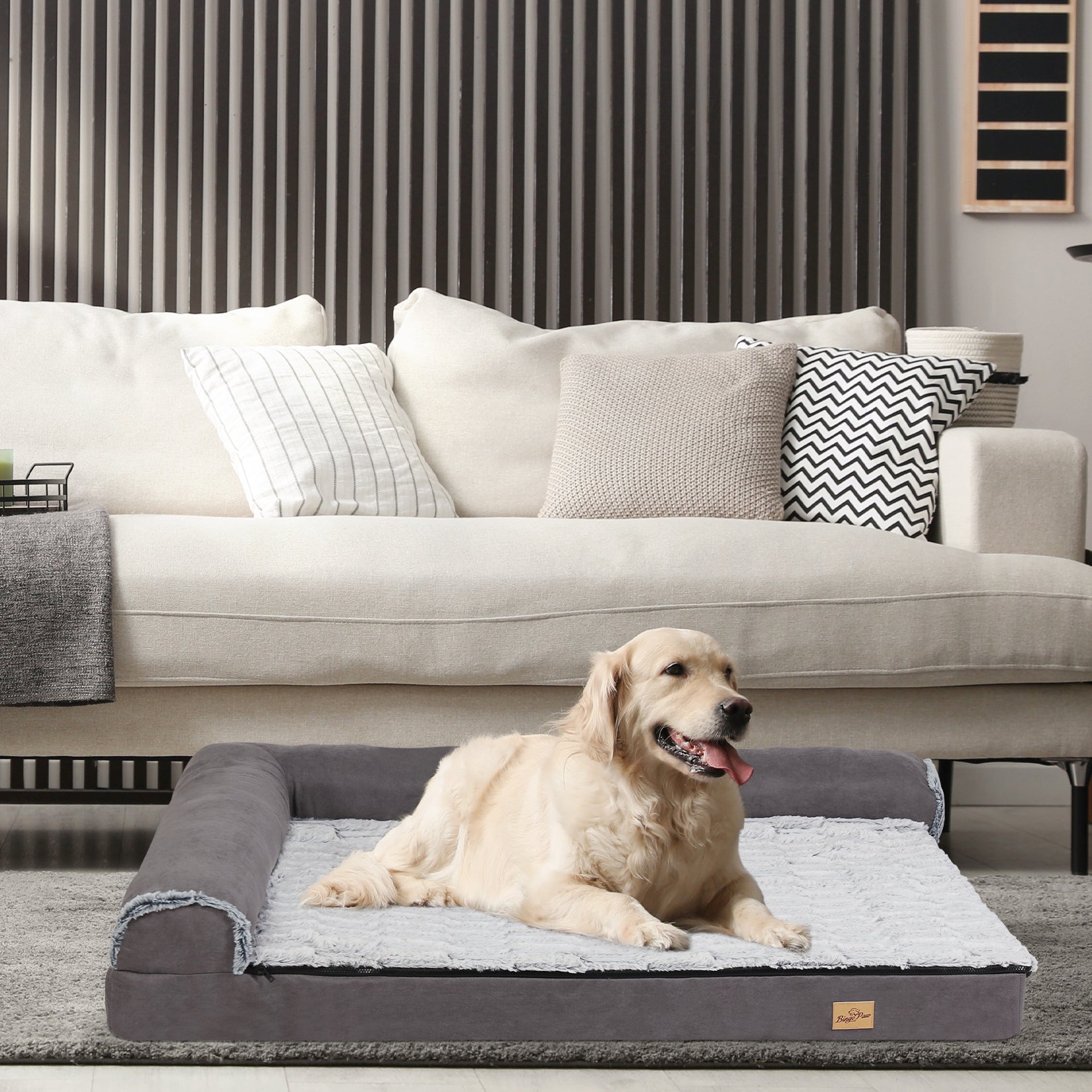 chien assis dans canape pour chien XL dans séjour