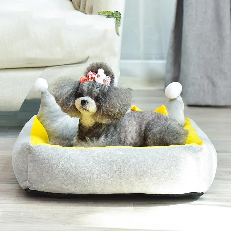 chien assis dans canape pour chien confortable forme couronne gris