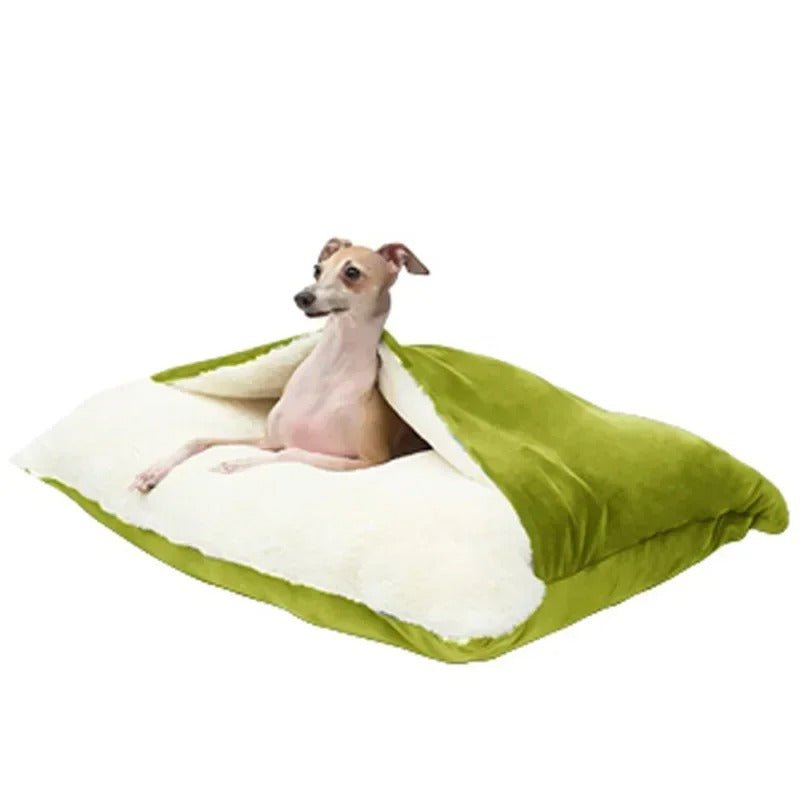 chien assis dans coussin chien doux