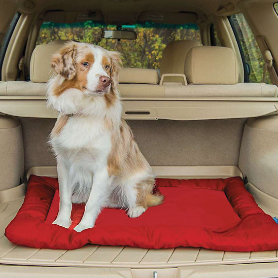  assis dans lit de camp pour chiens rouge coffre
