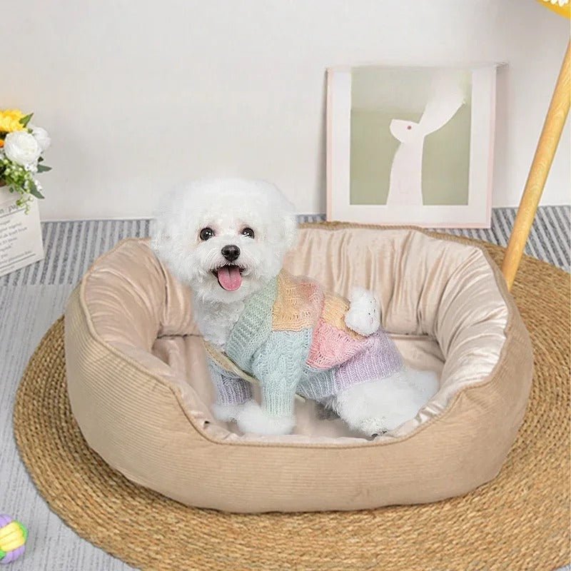 chien assis dans panier chien confort douillet beige