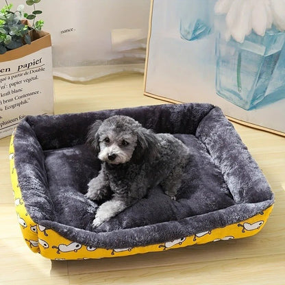chien assis dans panier chien confort moelleux